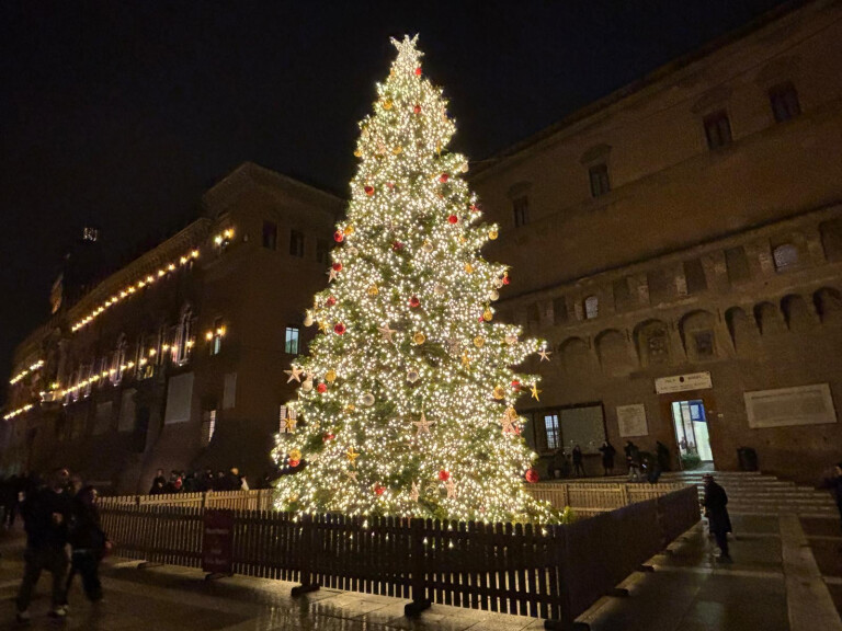 immagine di Festività di fine anno: orari e chiusure delle biblioteche | 2025-26