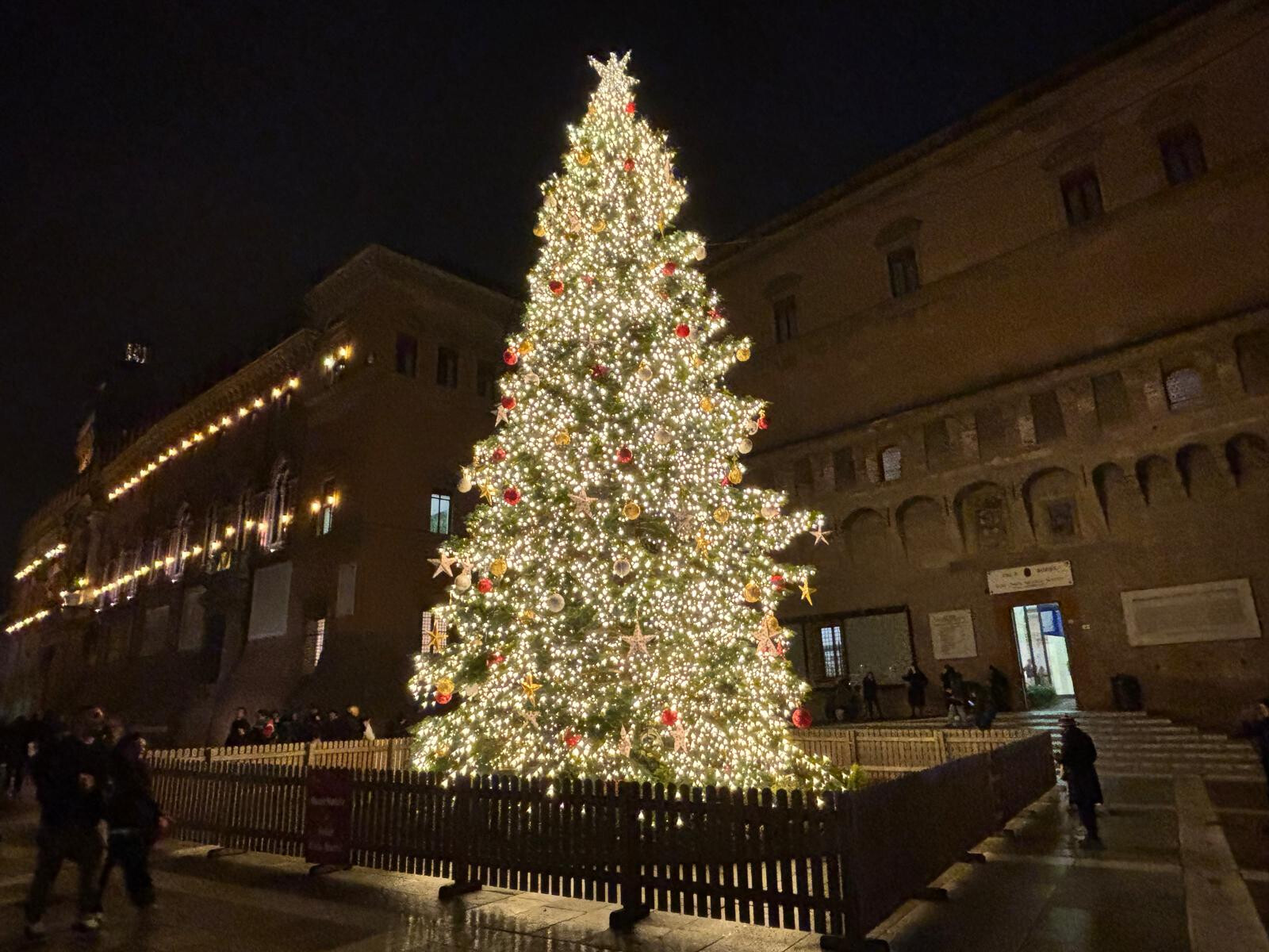 copertina di Festività di fine anno: orari e chiusure delle biblioteche | 2025-26