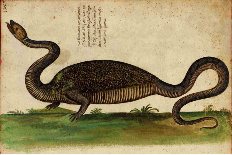 immagine di Il Torrente e il Drago