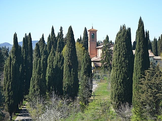 Pieve del Pino