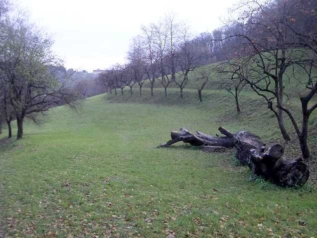 Veduta della zona di San Mamolo dal parco di Villa Ghigi