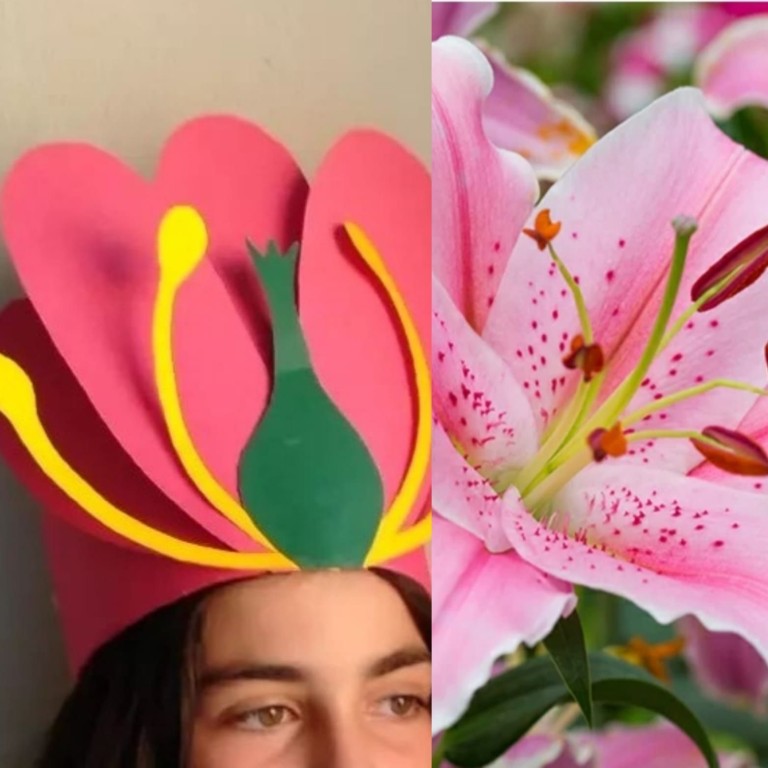 couverture de Laboratorio per bambin*. Mi spunta un fiore in testa!  Con La minipini
