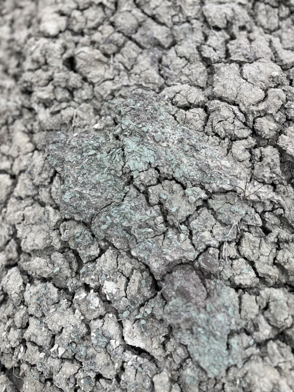 copertina di Si parte e non si sa mai dove si arriva