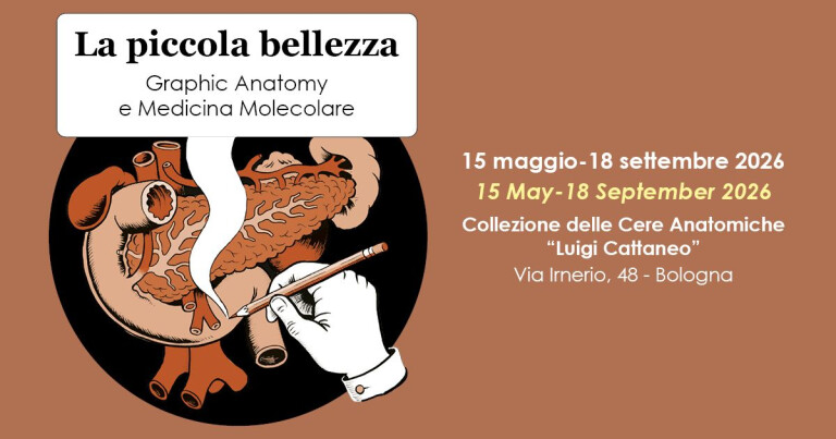 copertina di La piccola bellezza