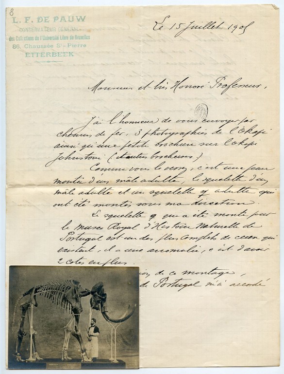 Lettera del naturalista belga Louis F. de Pauw 