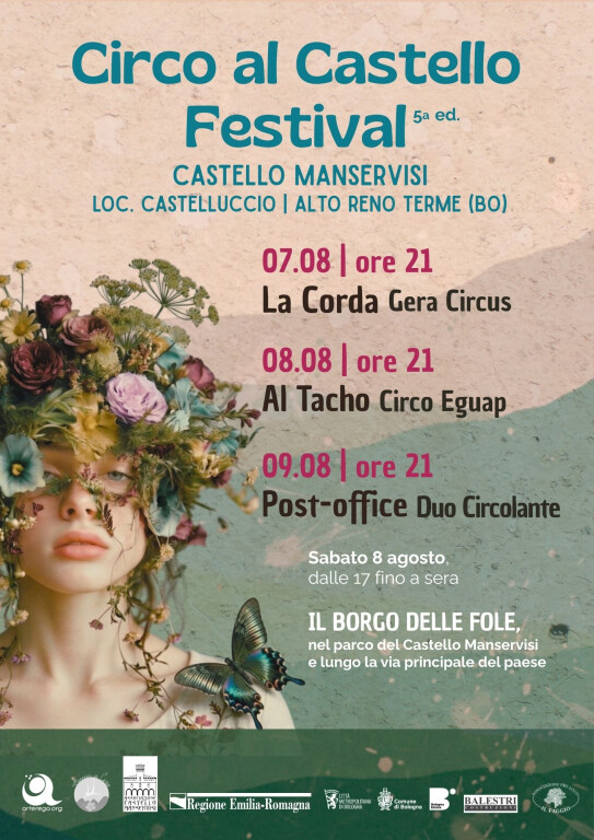 copertina di Circo al castello 