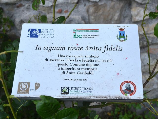 Progetto "Una rosa per Anita"