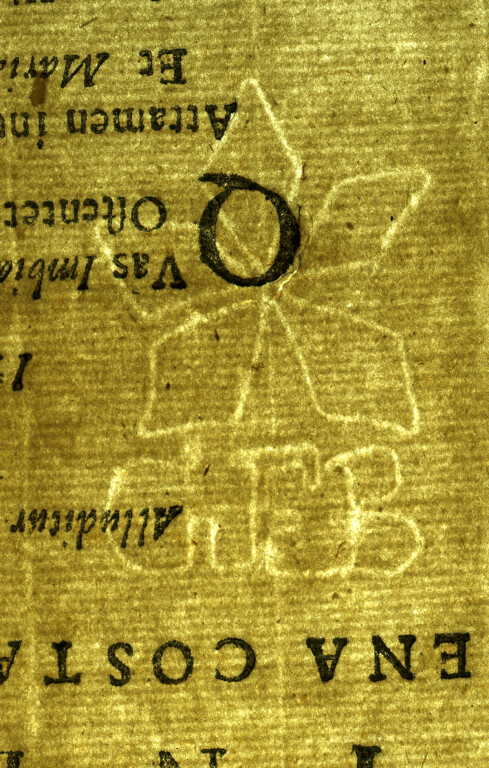 image of ID. 50 fiore a cinque petali, GFB