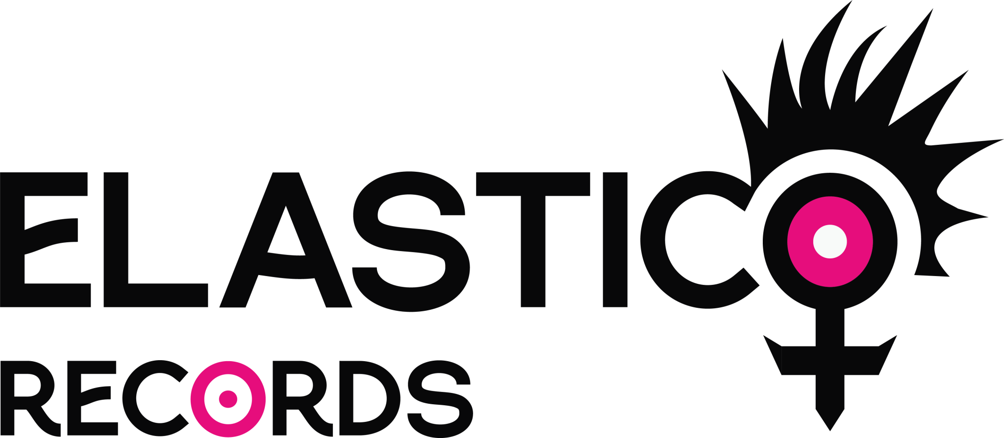 copertina di Logo Elastico Records | Esposizione progetti