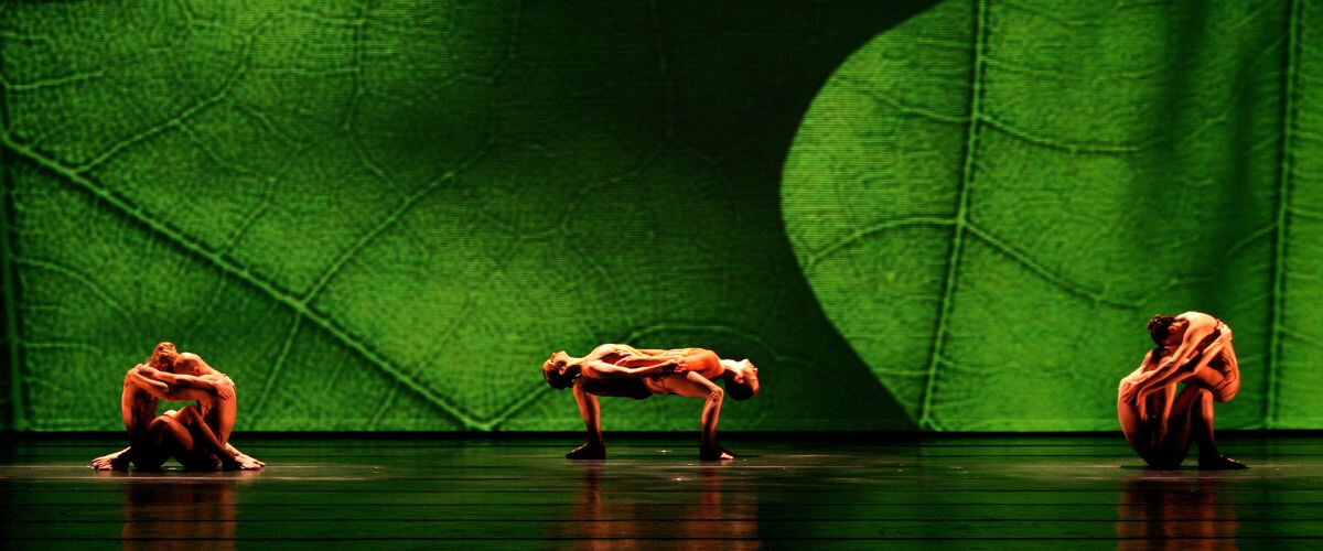 copertina di Botanica – Season 2. Momix
