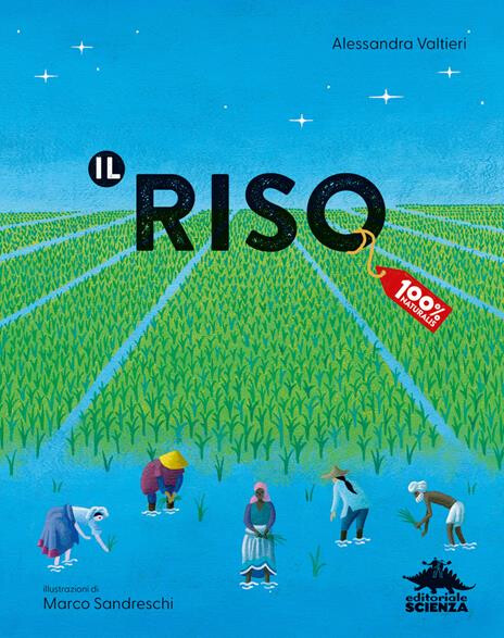 cover of ALESSANDRA VALTIERI | IL RISO