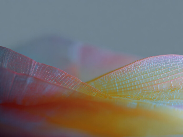 cover of Fossilized Futures