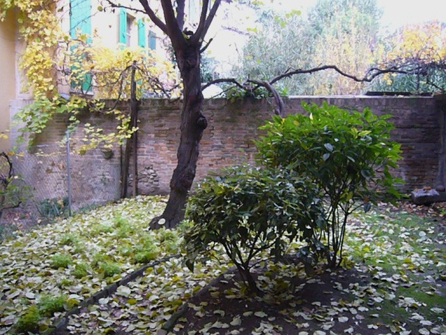 Giardino di casa Morandi