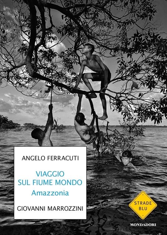 cover of Viaggio sul fiume mondo
