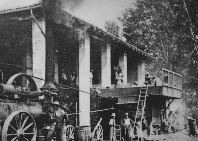 Trebbiatrice a vapore 