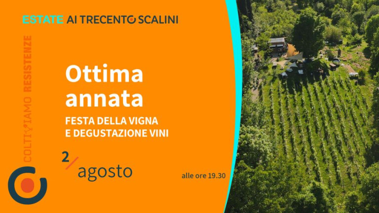 cover of Ottima Annata | Festa della vigna con degustazione di vini