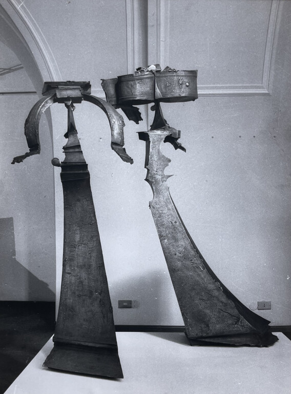 image of Radici in volo