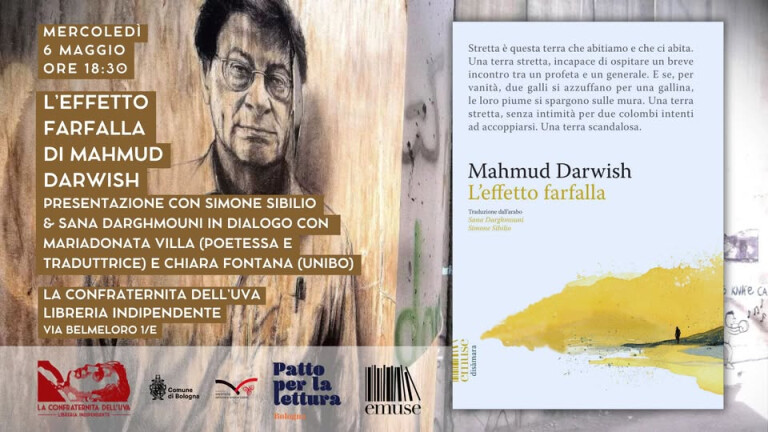 copertina di L'effetto farfalla