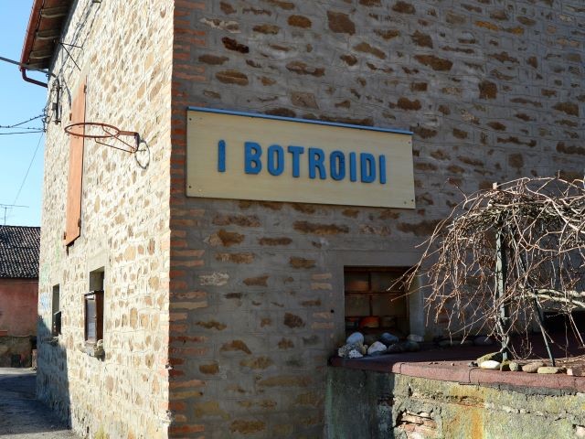 Museo dei botroidi