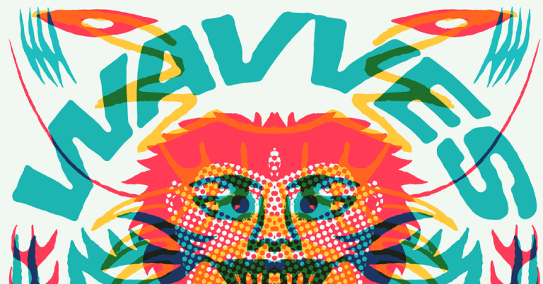 immagine di Wavves