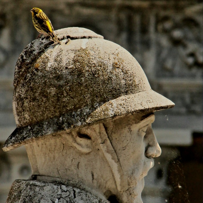 copertina di Caccia grossa in Certosa: trova gli animali nascosti al Cimitero