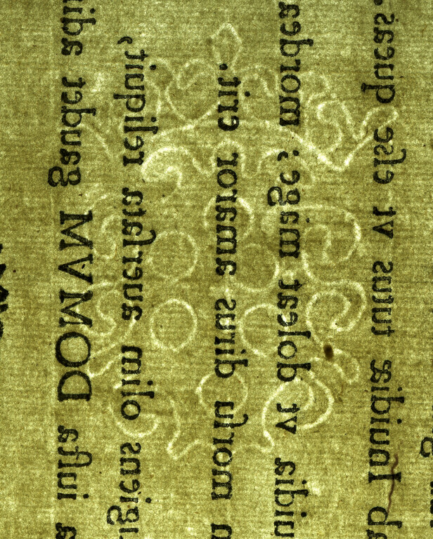 image of ID. 49 stemma Medici