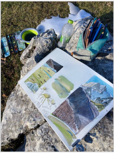copertina di Taccuini in natura