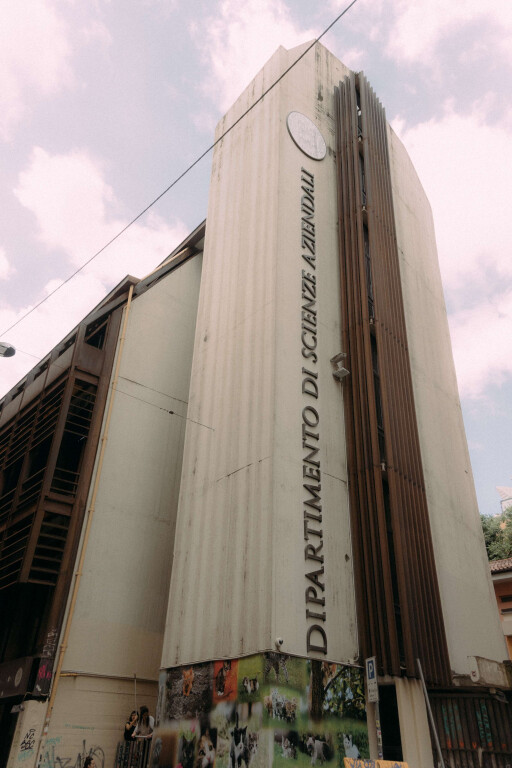 immagine di TANGLE - Visual Culture in Urban Art