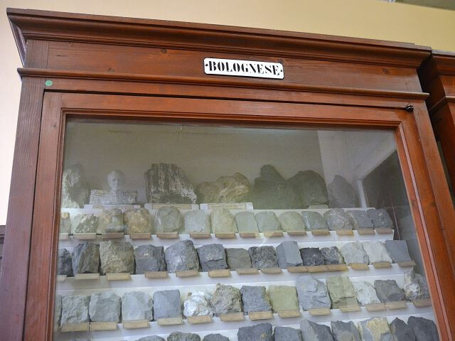 Collezione di Geologia "Museo Giovanni Capellini"