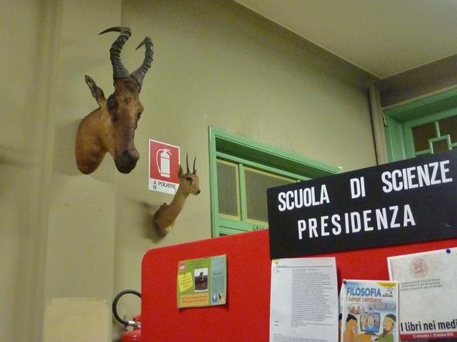 Istituto museo di Zoologia - via F. Selmi (BO)