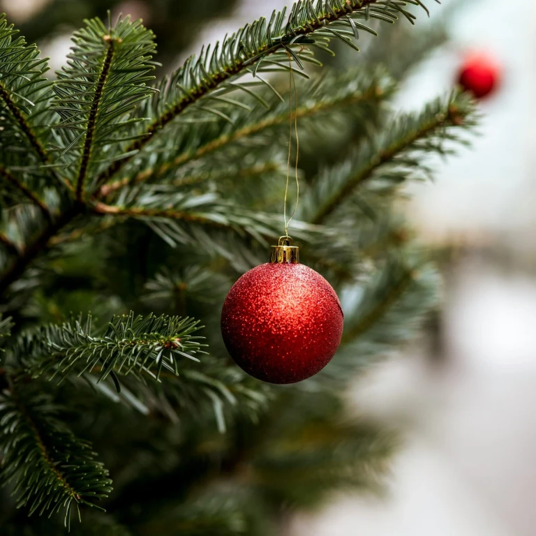 immagine di Natale a Casteldebole 2025