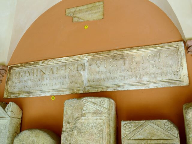 Museo Civico Archeologico (BO)