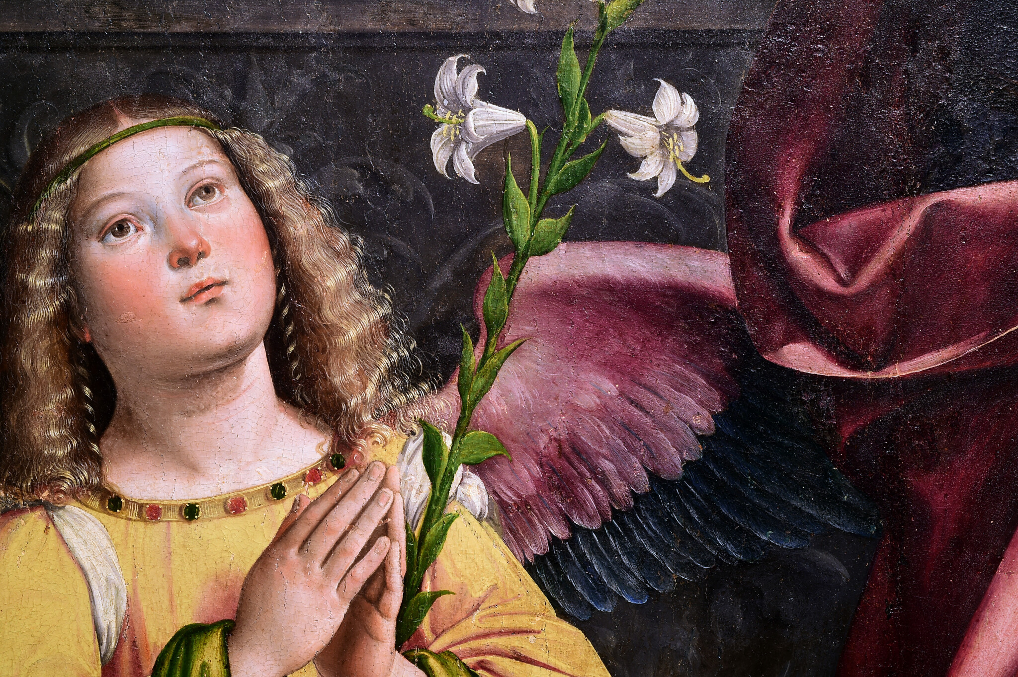 couverture de Attività in Pinacoteca a dicembre