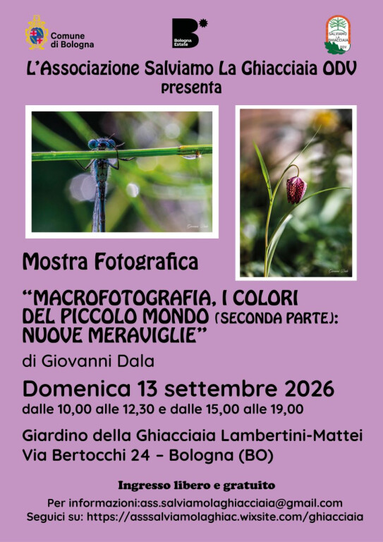 copertina di Macrofotografia. I colori del piccolo mondo ( seconda parte): nuove meraviglie