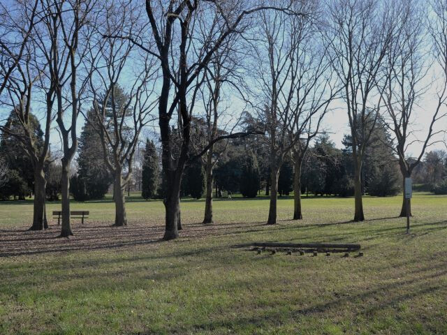 Parco dei Cedri