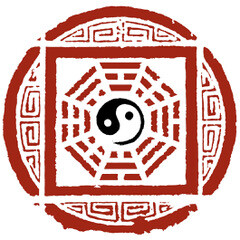 immagine di Kung fu kids open week