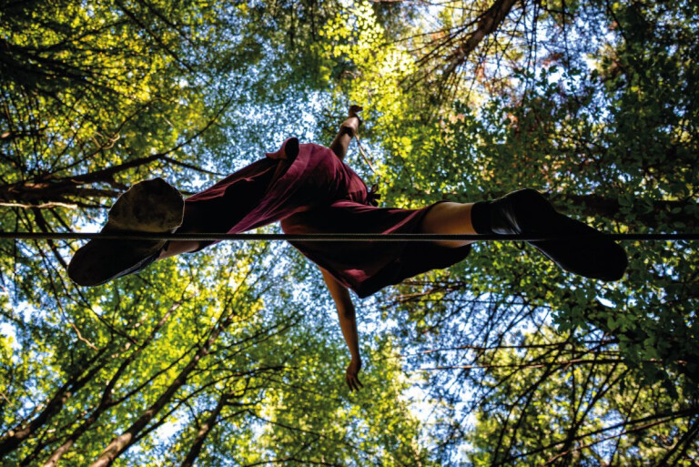 copertina di Il Bosco Parlante Resistente