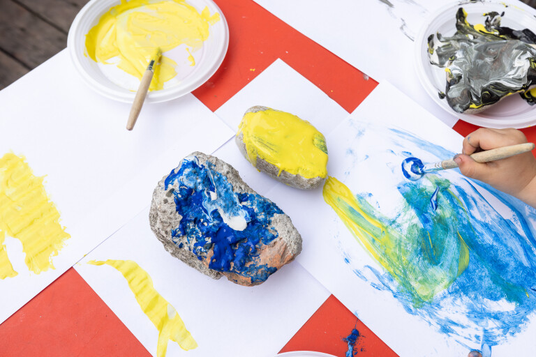 copertina di I racconti del leone#2