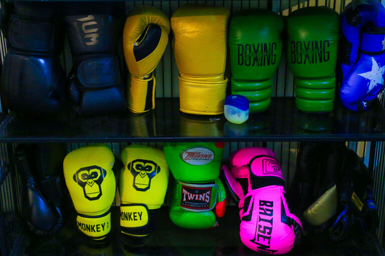 cover of Bolognina Boxing Camp
