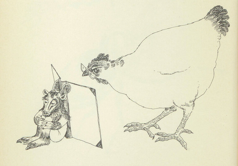 immagine di STRANALANDIA