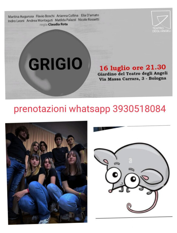 copertina di Grigio