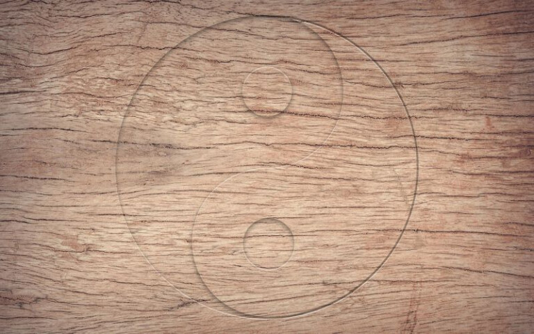 immagine di YIN YANG