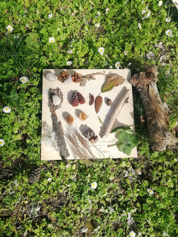 immagine di Gioco naturale