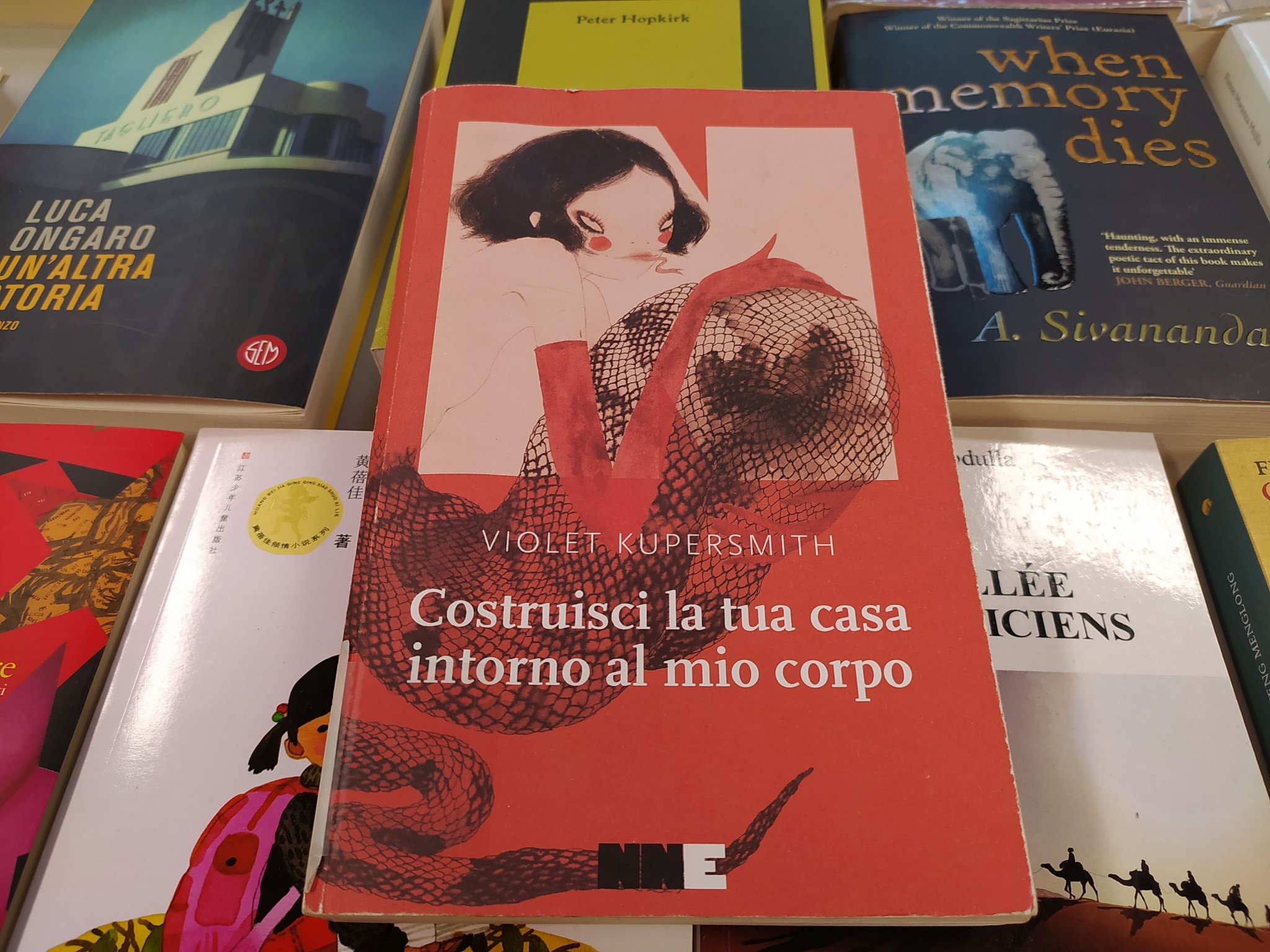 copertina di Costruisci la tua casa intorno al mio corpo