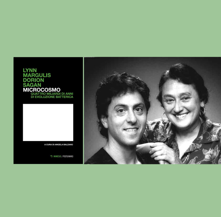 immagine di Microcosmo