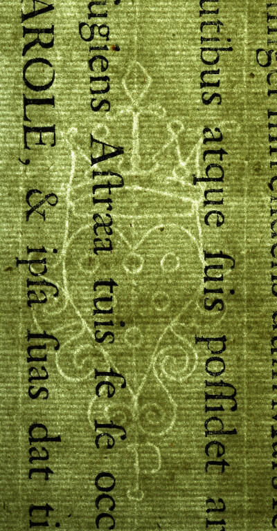 image of ID. 146 stemma Medici, P