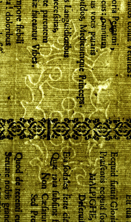 image of ID. 113 stemma Medici