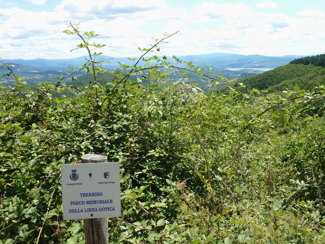Panorama del Mugello da 810 Hill 