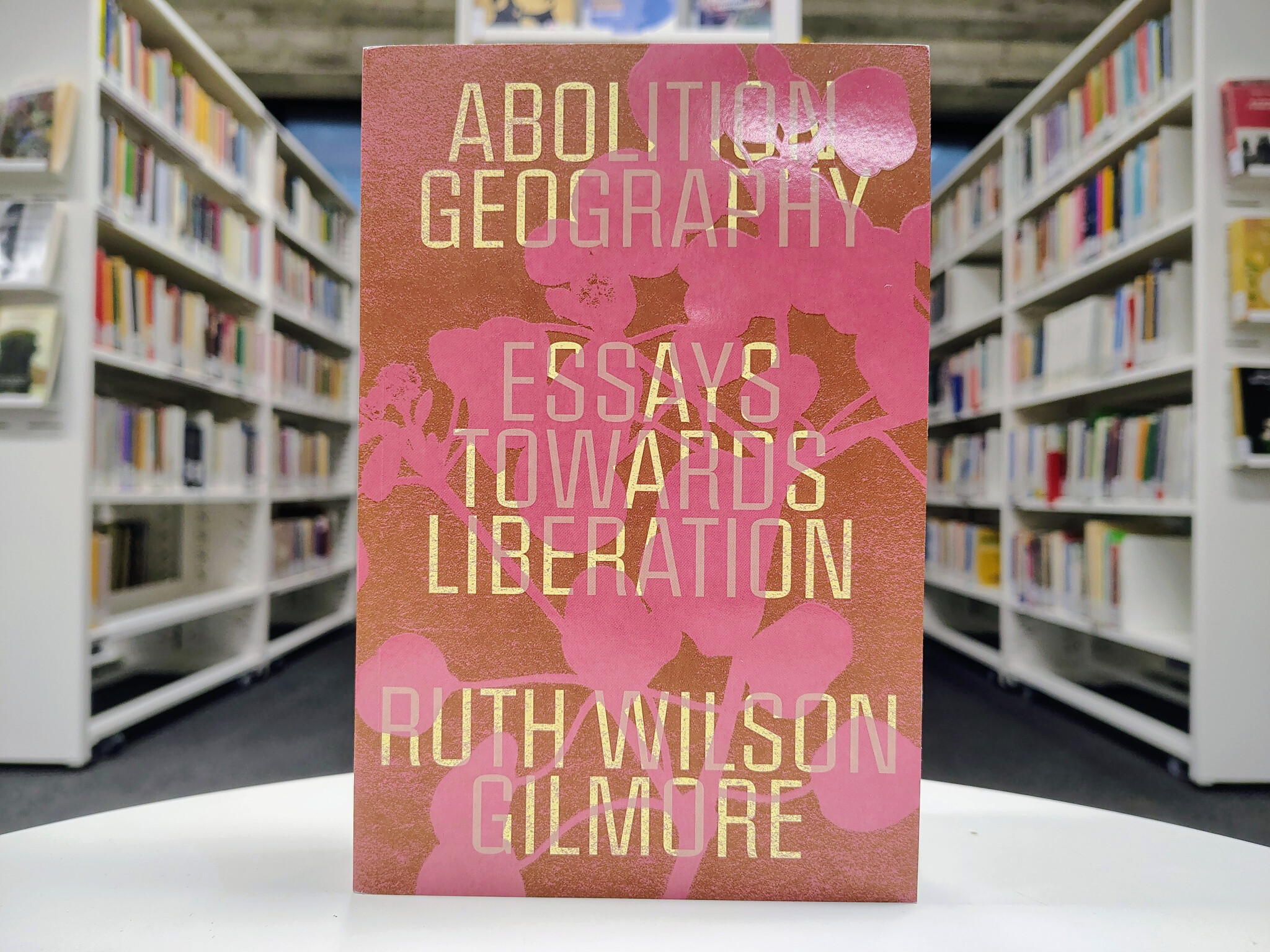 copertina di GEOGRAFIE DELLA RAZZA E PRATICHE ABOLIZIONISTE 