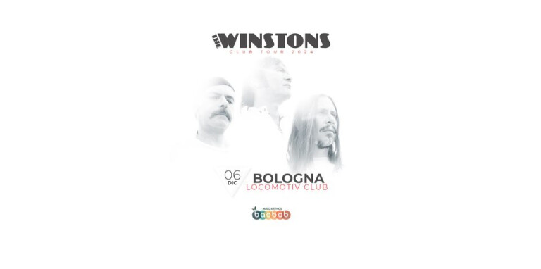 copertina di THE WINSTONS